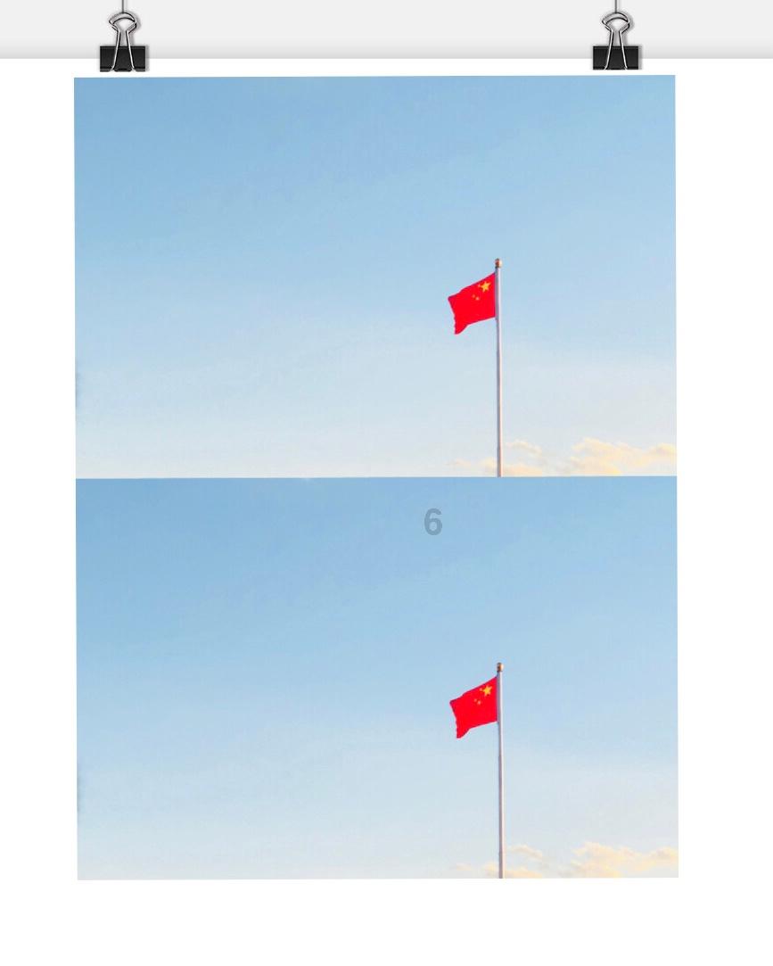 萌犬找不同